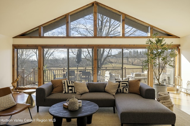 living room featuring plenty of natural light and high vaulted ceiling