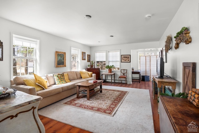34 Cottonwood Rd, Elizaville, NY 12523 - living room featuring wood finished floors and a baseboard radiator