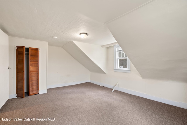 additional living space with lofted ceiling and carpet flooring