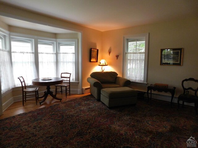 5474 Rte 23, Windham, NY 12496 - photo 7