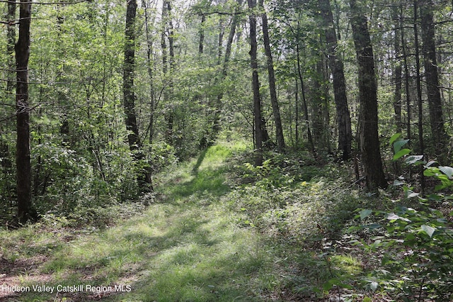 view of landscape featuring a view of trees