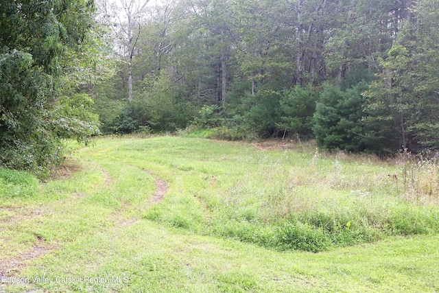 view of yard with a view of trees