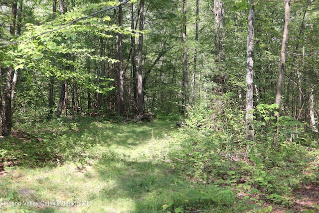 view of local wilderness with a view of trees