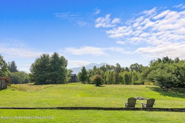 view of yard with a mountain view