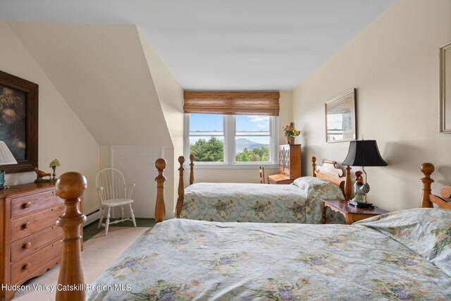 bedroom featuring light colored carpet and a baseboard radiator