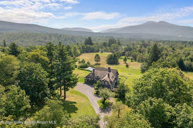 birds eye view of property featuring a mountain view