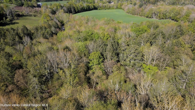 7452 Mill Brook Rd, Hardenburgh, NY 12406