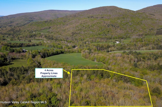 7452 Mill Brook Rd, Hardenburgh, NY 12406