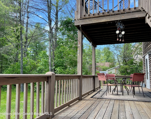 16 Appalachian Dr, Coxsackie, NY 12051 - photo 33