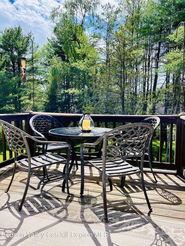 16 Appalachian Dr, Coxsackie, NY 12051 - photo 34