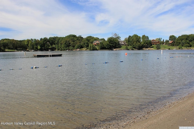 16 Appalachian Dr, Coxsackie, NY 12051 - photo 38