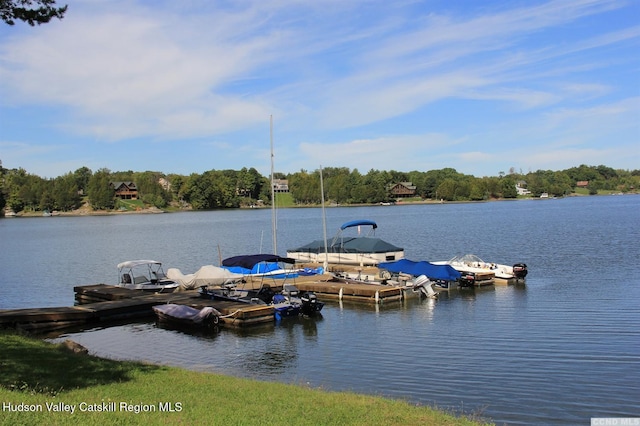 16 Appalachian Dr, Coxsackie, NY 12051 - photo 41