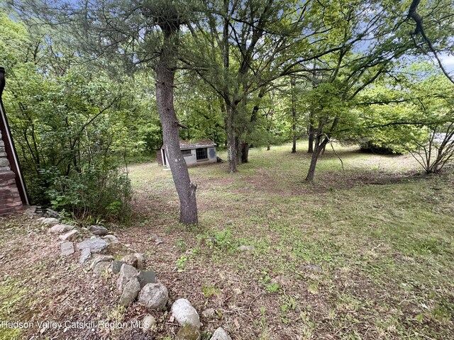 1918 County Route 8, Elizaville, NY 12523 - view of yard with an outdoor structure