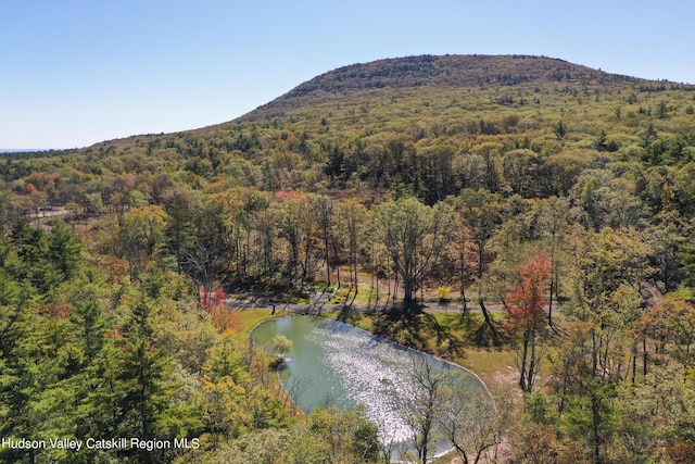 120 High Ridge Villa Rd, Purling NY, 12470 land for sale