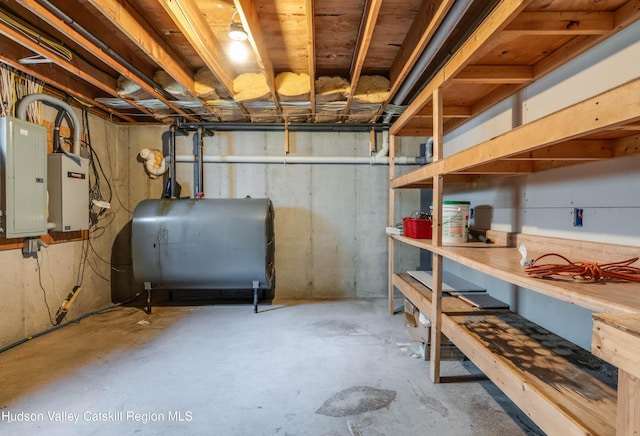 basement featuring a workshop area and electric panel