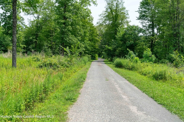 35 Mountain Rd, Shokan, NY 12481 - photo 32