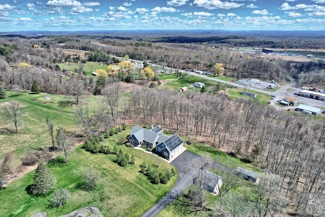 52 Hadley Dr, New Baltimore, NY 12087 - aerial view of property and surrounding area featuring a heavily wooded area