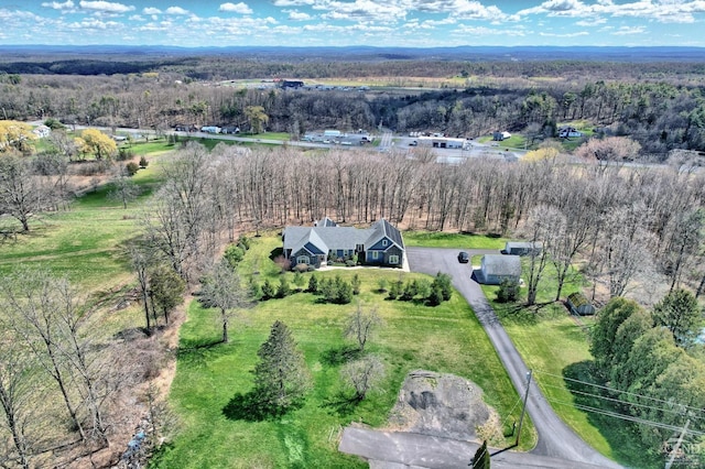 52 Hadley Dr, New Baltimore, NY 12087 - aerial view of property and surrounding area with a forest