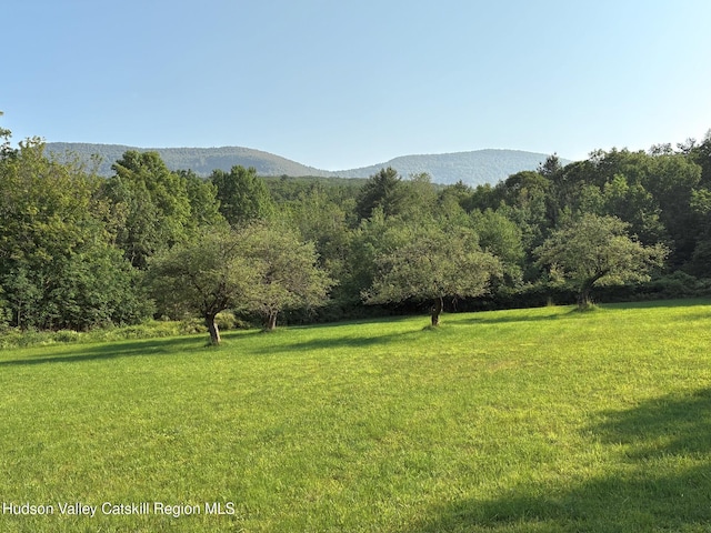 939 Joseph Chadderdon Rd, Acra, NY 12405 - view of mountain background with a heavily wooded area