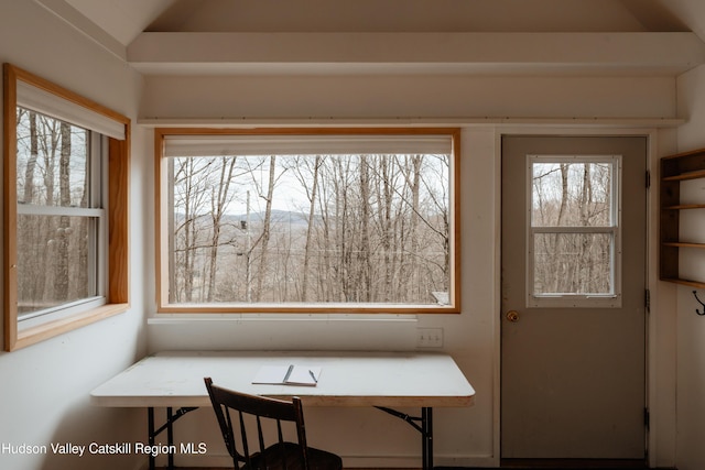 interior space featuring lofted ceiling
