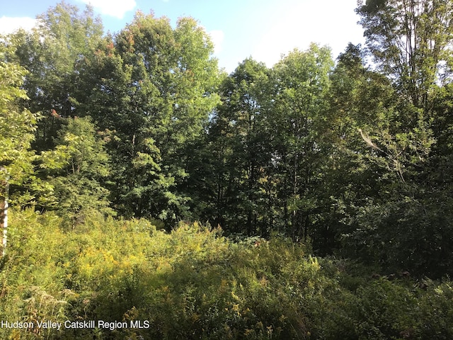 100 Bear Ln, Fleischmanns NY, 12430 land for sale