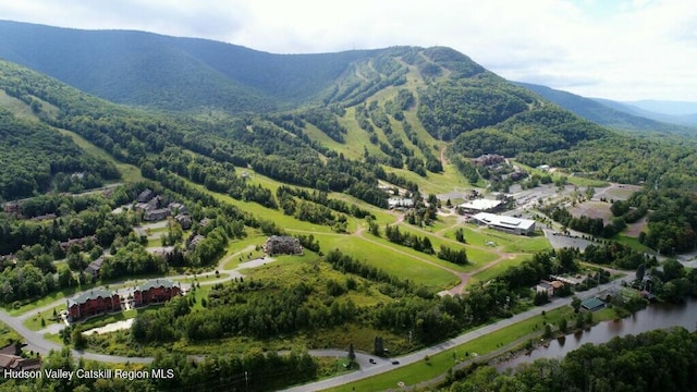72 Hunter Dr Unit L-1, Hunter, NY 12442 - aerial overview of property's location with a water and mountain view