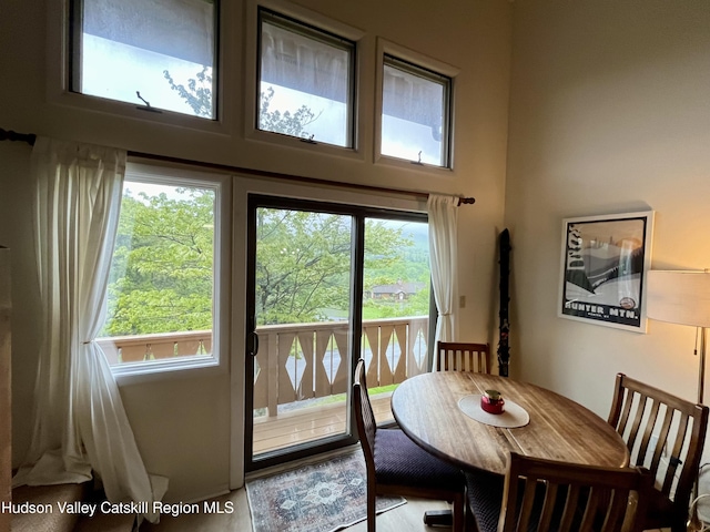 72 Hunter Dr Unit L-1, Hunter, NY 12442 - dining area featuring a high ceiling