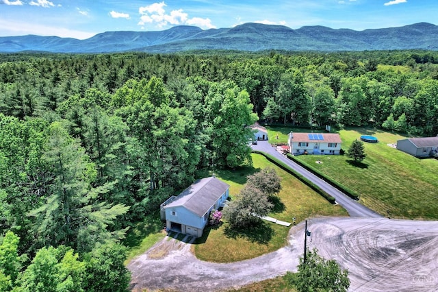 36 Banta Ln, Cairo, NY 12413 - photo 62