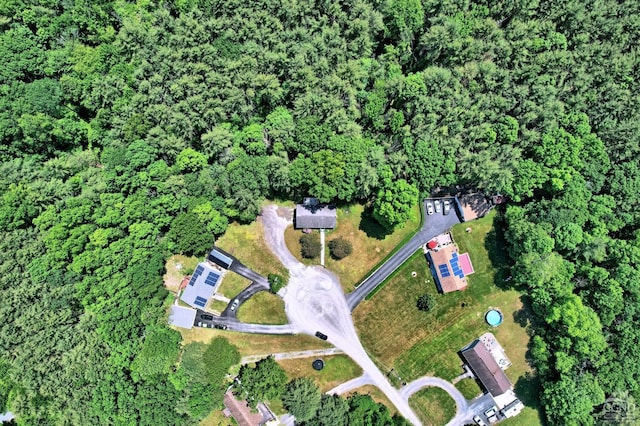 36 Banta Ln, Cairo, NY 12413 - photo 65