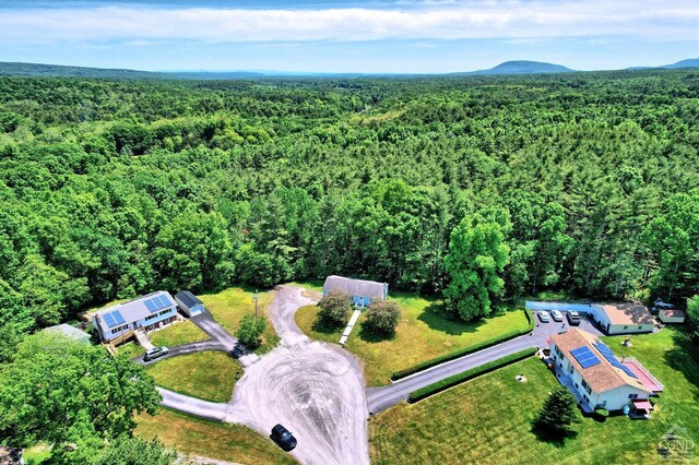 36 Banta Ln, Cairo, NY 12413 - photo 64