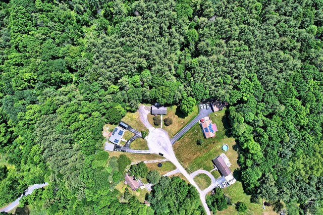 36 Banta Ln, Cairo, NY 12413 - photo 66
