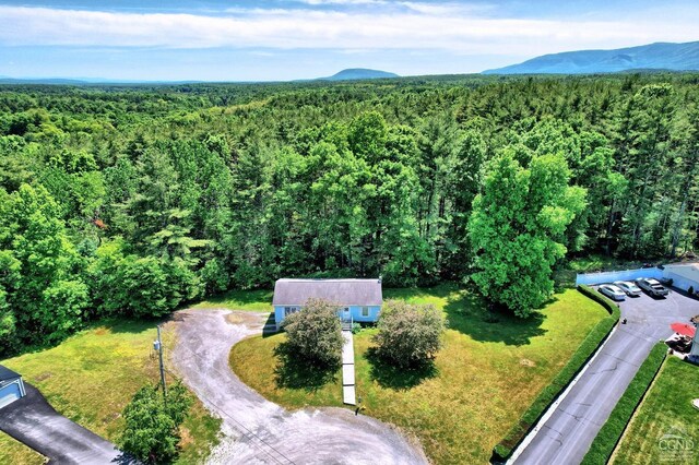 36 Banta Ln, Cairo, NY 12413 - photo 24