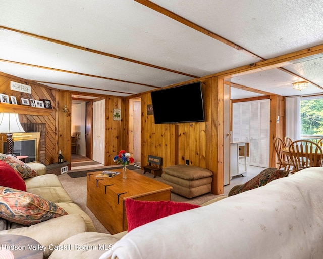 315 Begley Rd, Windham, NY 12496 - living area with carpet flooring and wooden walls