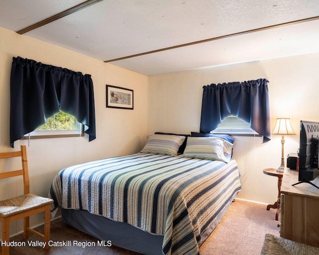 315 Begley Rd, Windham, NY 12496 - carpeted bedroom featuring a textured ceiling