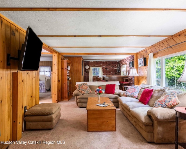 315 Begley Rd, Windham, NY 12496 - living room featuring healthy amount of natural light, wooden walls, and carpet floors