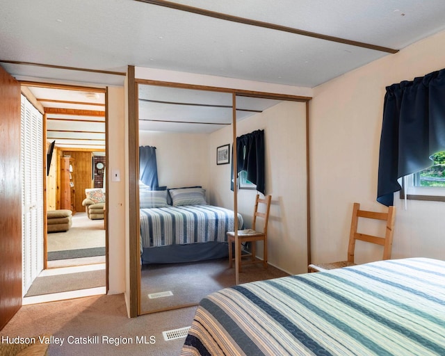 315 Begley Rd, Windham, NY 12496 - bedroom featuring carpet floors and a closet