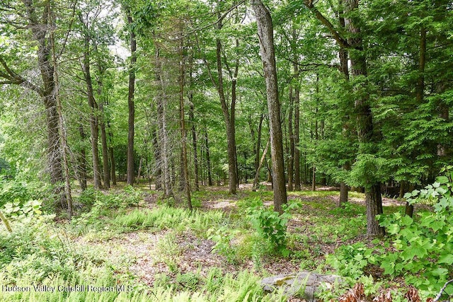 110 Meadow Ln, Hillsdale, NY 12529 - photo 31