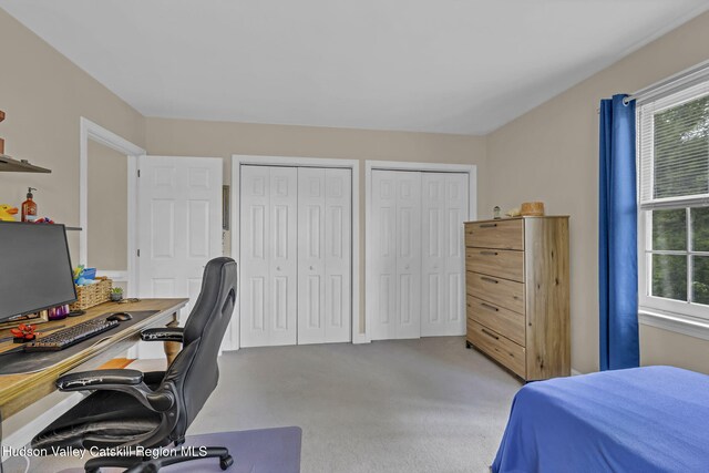 74 Vincent Ln, Stone Ridge, NY 12484 - photo 39