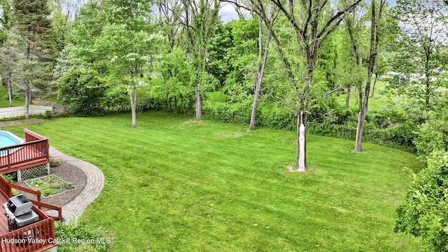 74 Vincent Ln, Stone Ridge, NY 12484 - photo 56