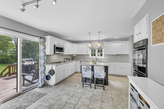 74 Vincent Ln, Stone Ridge, NY 12484 - photo 19