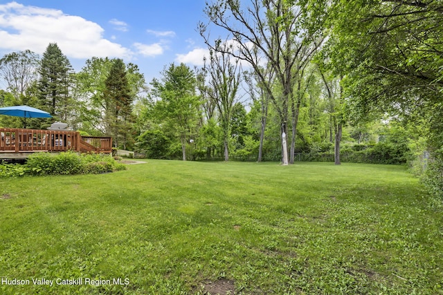 74 Vincent Ln, Stone Ridge, NY 12484 - photo 58