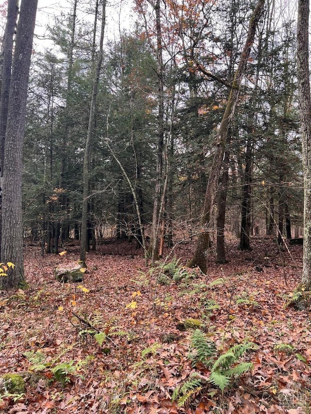 91 Laurie Ln, Cairo, NY 12413 - photo 12
