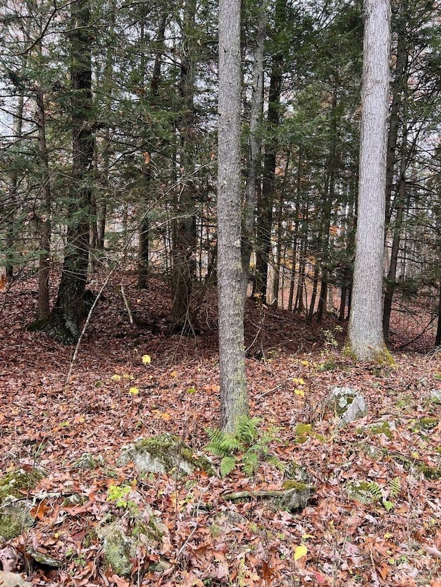 91 Laurie Ln, Cairo, NY 12413 - photo 15