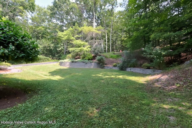 211 Johnson Hill Rd, Kingston, NY 12401 - photo 47