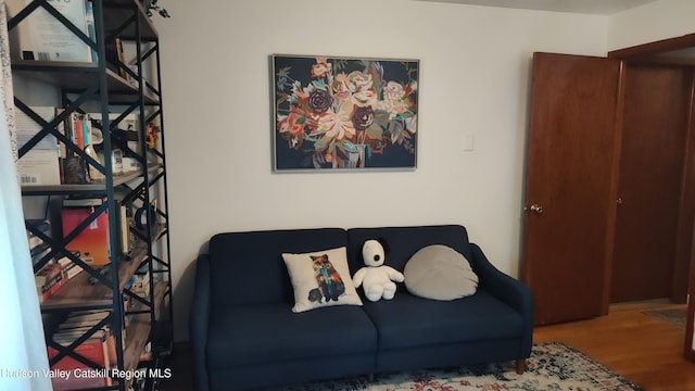 56 Church St, Plattekill, NY 12589 - living area with wood finished floors