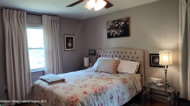 56 Church St, Plattekill, NY 12589 - bedroom with multiple windows and ceiling fan