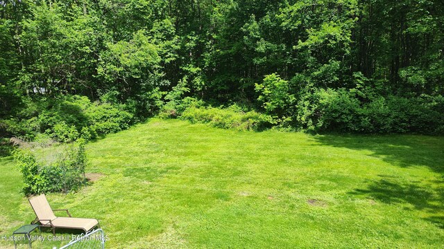 56 Church St, Plattekill, NY 12589 - view of grassy yard