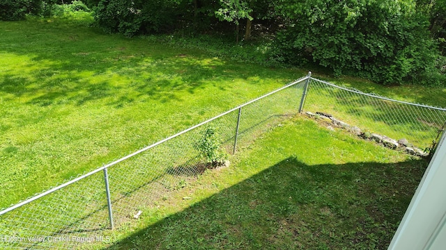 56 Church St, Plattekill, NY 12589 - view of yard