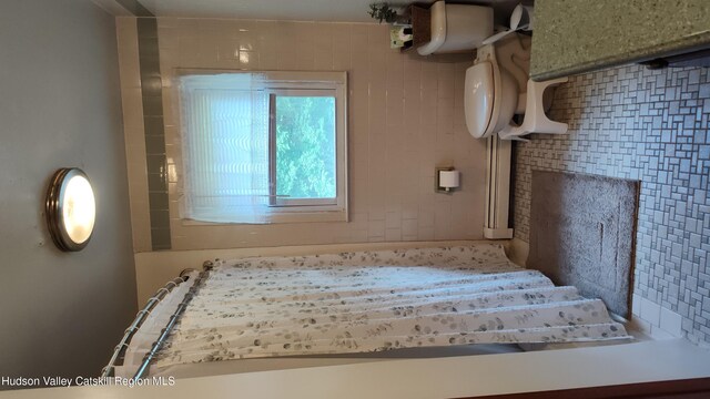 56 Church St, Plattekill, NY 12589 - view of bathroom