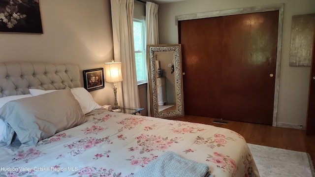 56 Church St, Plattekill, NY 12589 - bedroom featuring wood finished floors and a closet